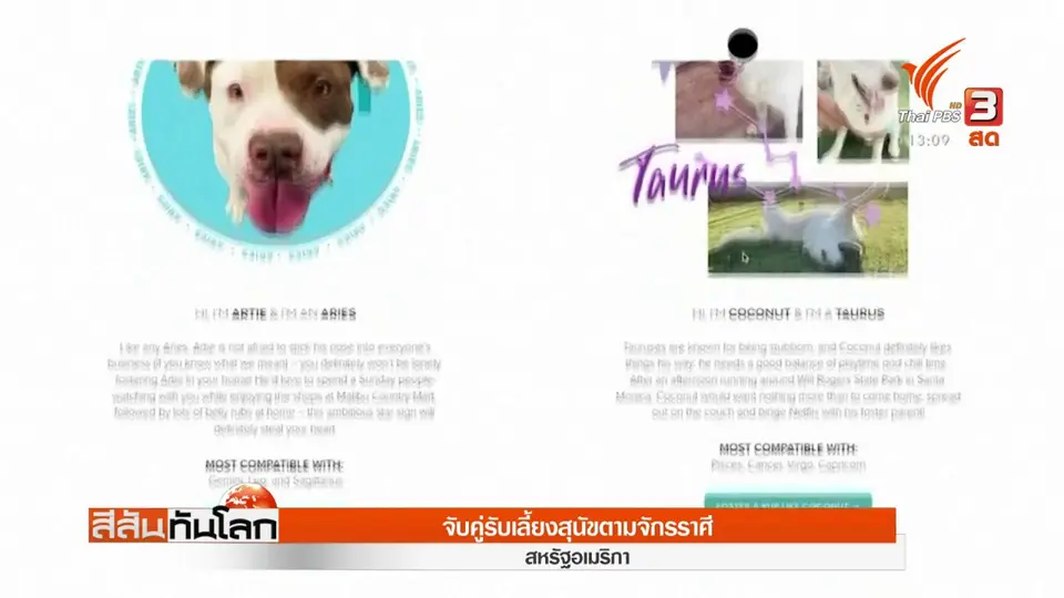 ​จับคู่รับเลี้ยงสุนัขตามจักรราศี