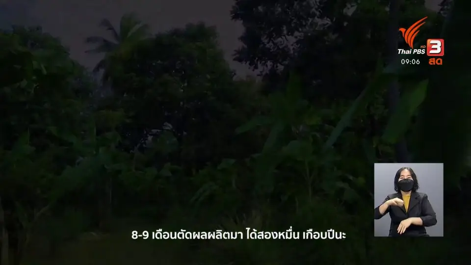 ดอกผลของความยั่งยืน : บ้านไร่กร่าง อยู่ได้ด้วยเศรษฐกิจพอเพียง