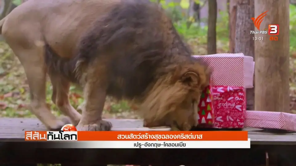 ​สวนสัตว์สร้างสุขฉลองคริสต์มาส