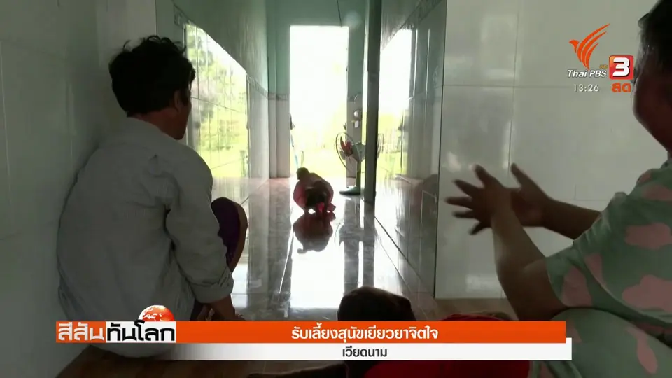 ​รับเลี้ยงสุนัขเยียวยาจิตใจ