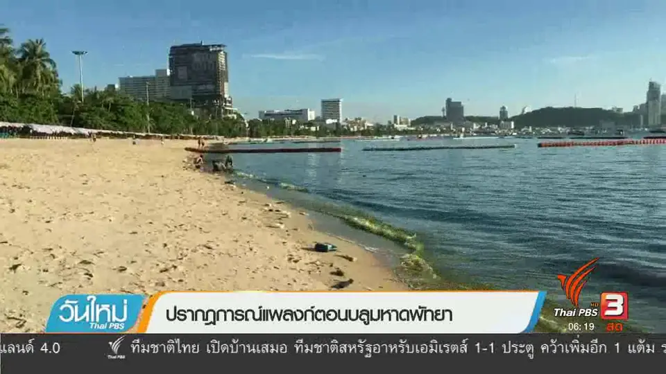 ปรากฏการณ์แพลงก์ตอนบลูมหาดพัทยา