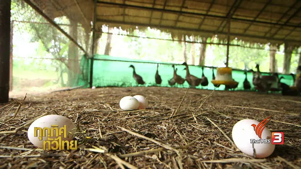 จุฑามาศ พาตะลุย : ไส้กรอกไข่เค็ม