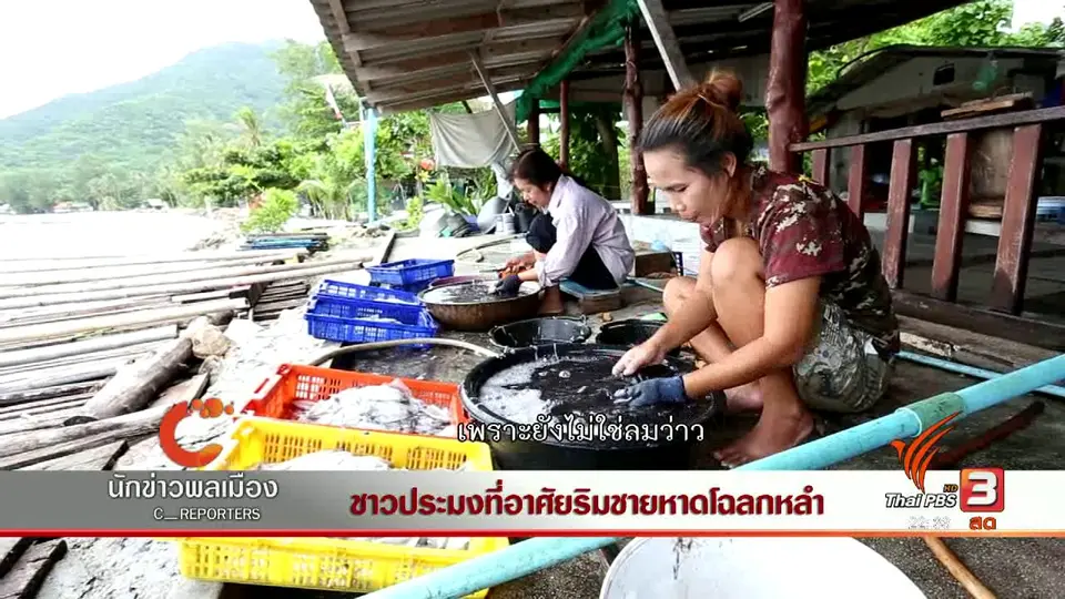 นักข่าวพลเมือง : ชาวประมงที่อาศัยริมชายหาดโฉลกหลำ
