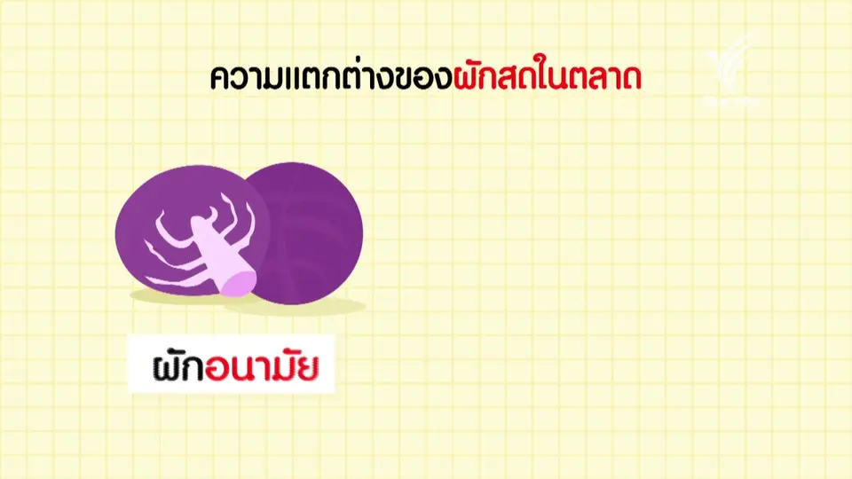ความแตกต่างของผักสดในตลาด
