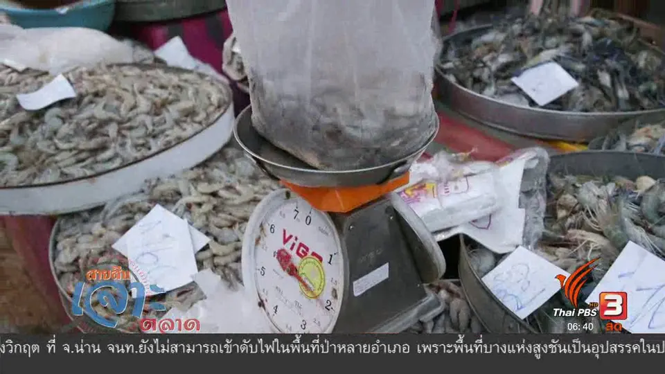 สายสืบเจาะตลาด : สืบราคากุ้ง จ.ฉะเชิงเทรา