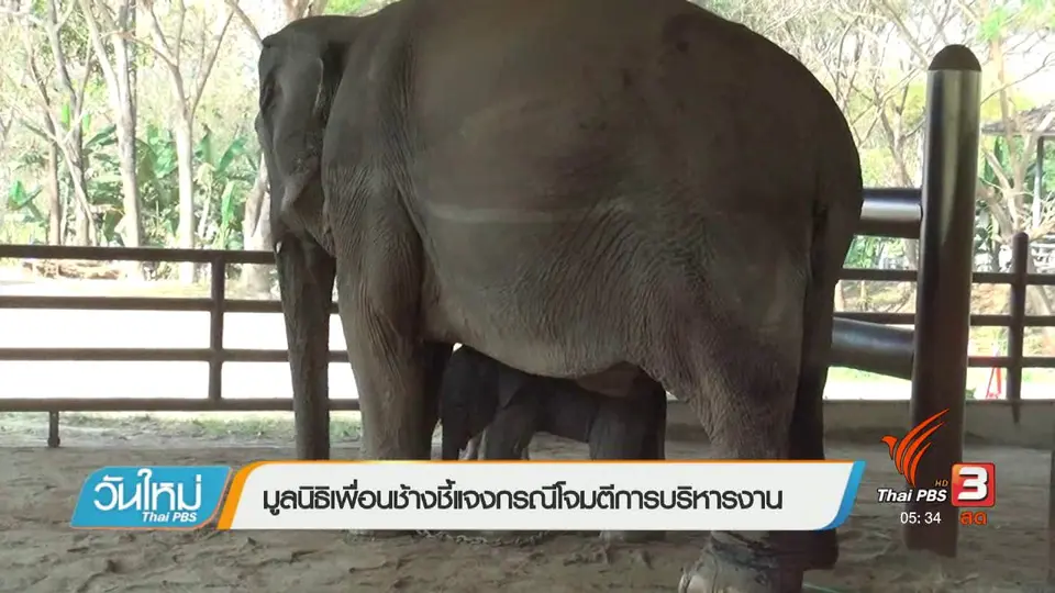 มูลนิธิเพื่อนช้างชี้แจงกรณีโจมตีการบริหารงาน