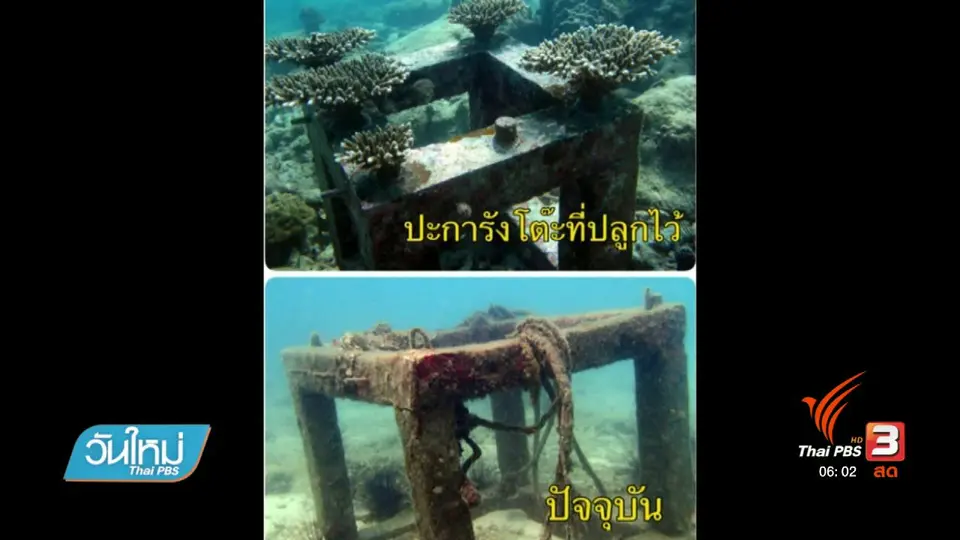 เรียกร้องเจ้าหน้าที่เกาะจานชี้แจงปะการังหาย