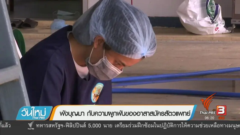 พังบุญมา กับความผูกพันของอาสาสมัครสัตวแพทย์