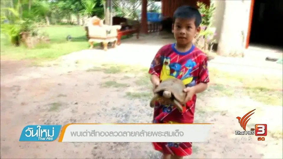 พบเต่าสีทองลวดลายคล้ายพระสมเด็จ