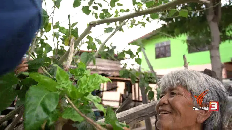 ขบวนการ(สูงวัย)พิทักษ์โซดละเว