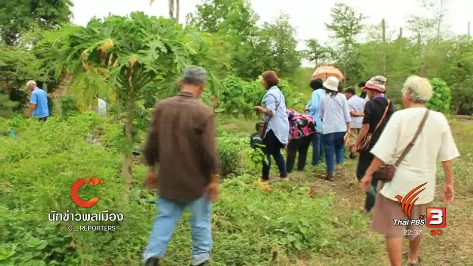 นักข่าวพลเมือง : องค์ความรู้ชาวนา "ปลูกผักอินทรีย์ตามฤดูกาล"