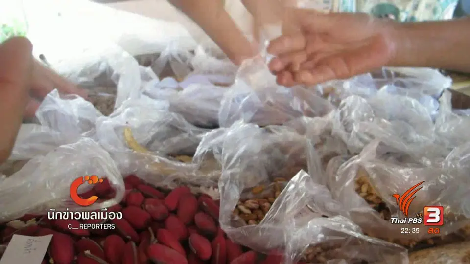นักข่าวพลเมือง : การส่งต่อเมล็ดพันธุ์จากชุมชนชาติพันธุ์