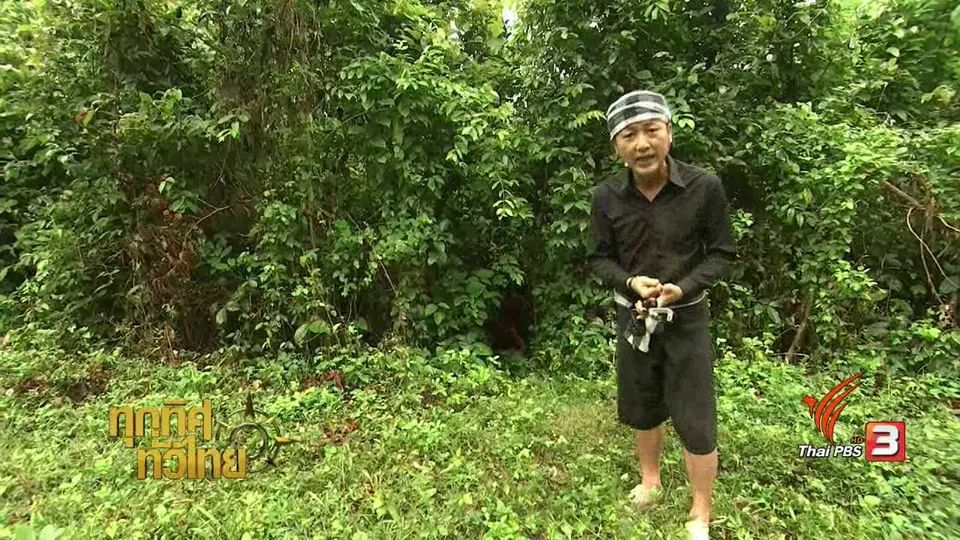 วิถีทั่วไทย : หลามไก่