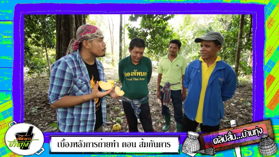 ชิมส้มกันดารสดๆ จะอร่อยขนาดไหน
