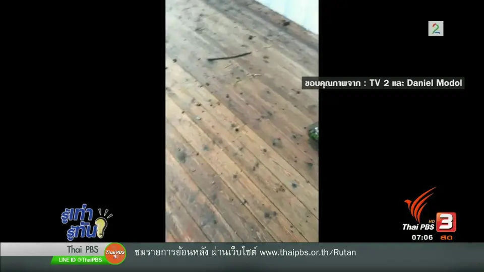 รู้ทันโซเชียล (28 ส.ค. 60)