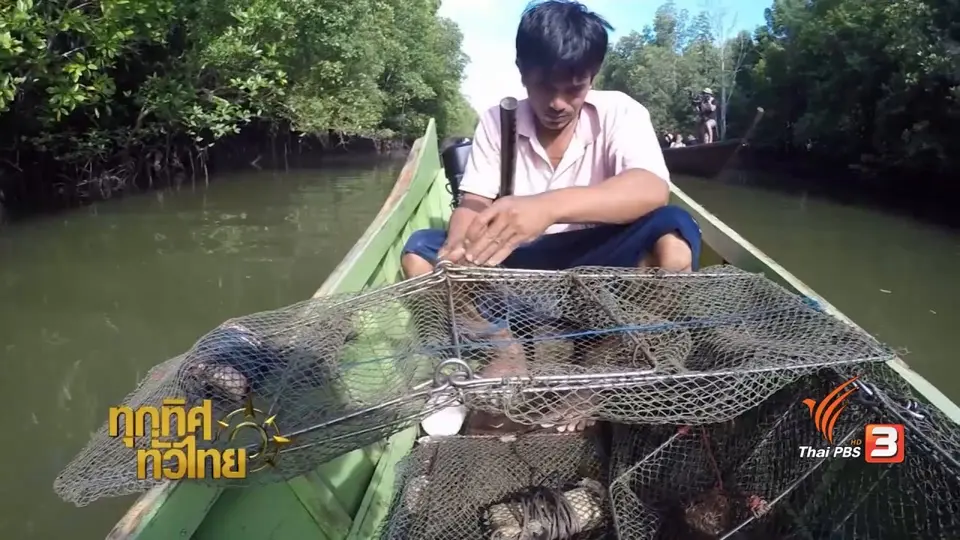 วิถีทั่วไทย : วางไซจับ "ปลามาหลง"