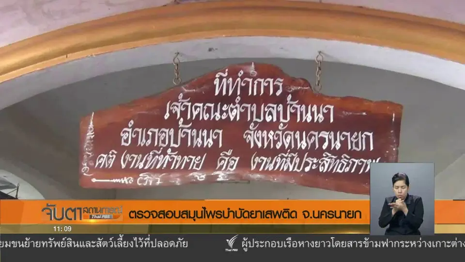 ตรวจสอบสมุนไพรบำบัดยาเสพติด จ.นครนายก
