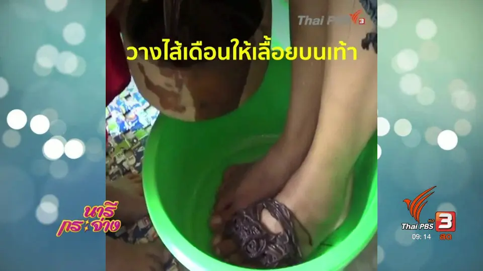 นารีสนทนา : แก้ปวดเท้าด้วย "สปาไส้เดือน"