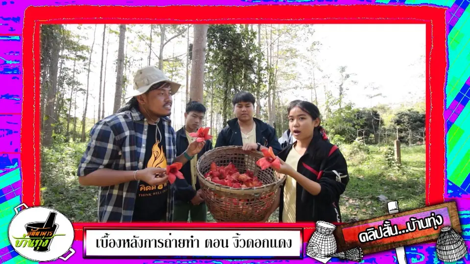 แอ่วเมืองน่านชมความงามงิ้วดอกแดง