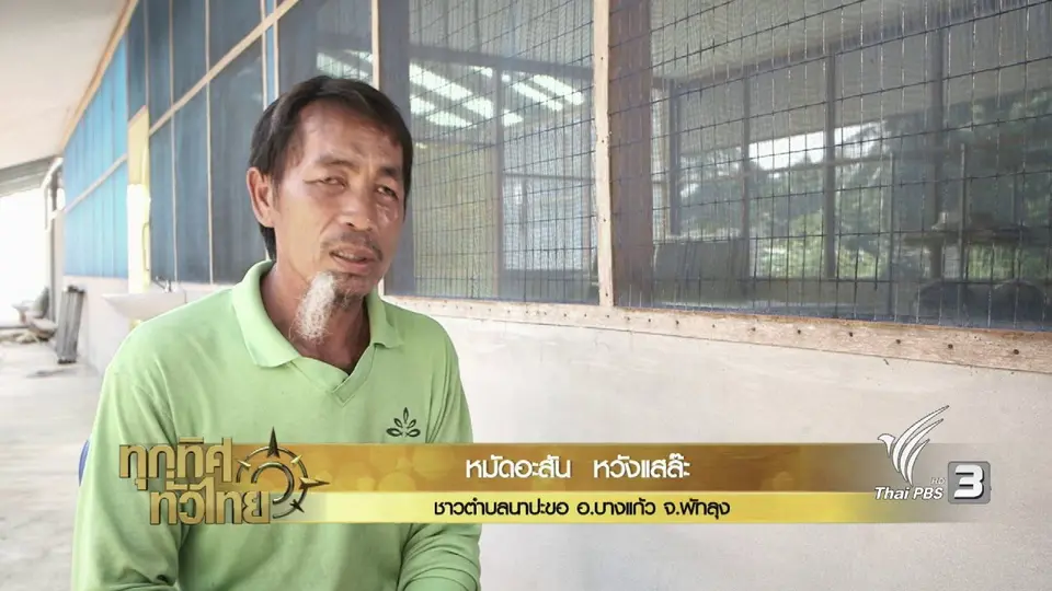 จุฑามาศ พาตะลุย : ปลาสวรรค์ อ.บางแก้ว จ.พัทลุง