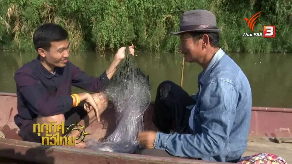 วิถีทั่วไทย: เก็บหอยโหละที่คลองลำโลน
