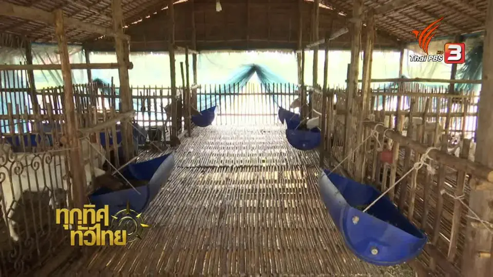 อาชีพทั่วไทย: เกษตรกรรุ่นใหม่เปลี่ยนนาปลูกผักสวนครัวสร้างรายได้เพิ่ม