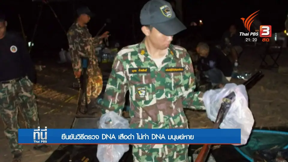 ยืนยันวิธีตรวจ DNA เสือดำ ไม่ทำ DNA มนุษย์หาย