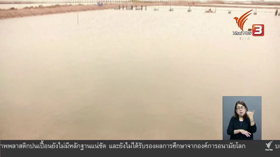 ตะลุยทั่วไทย : สาหร่ายพวงองุ่น