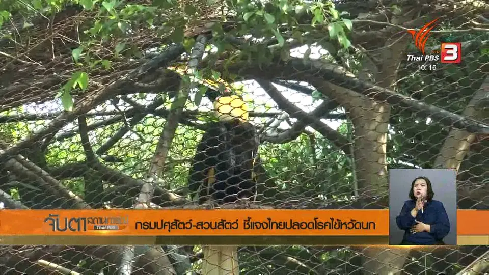 กรมปศุสัตว์ - สวนสัตว์ ชี้แจงไทยปลอดโรคไข้หวัดนก