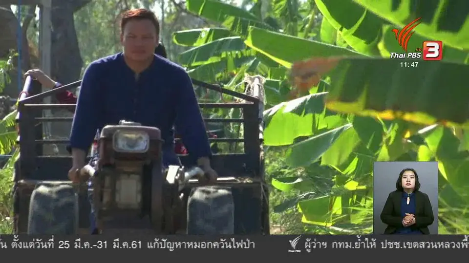 ตะลุยทั่วไทย : เกษตรผสมผสาน