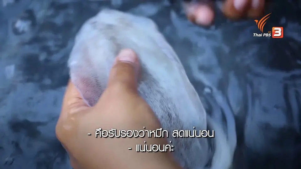 เรียนรู้วิถีไทย : หมึกแดดเดียว บ้านหัวแหลม จ.จันทบุรี