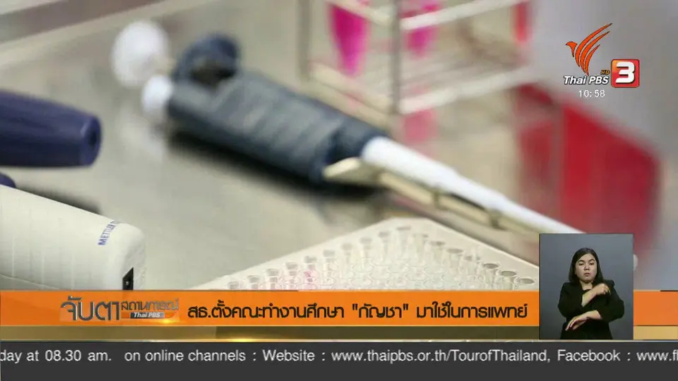 สธ.ตั้งคณะทำงานศึกษา "กัญชา" มาใช้ในการแพทย์