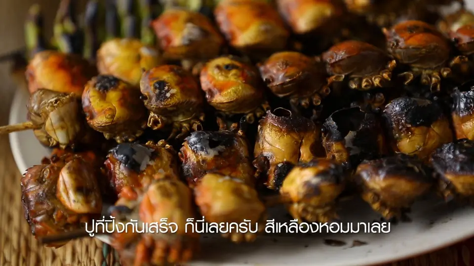 เรียนรู้วิถีไทย : ป่นปู บ้านโคกโก่ง จ.กาฬสินธุ์