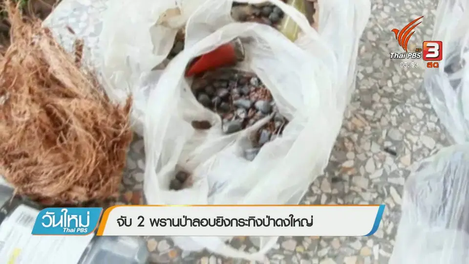 จับ 2 พรานป่าลอบยิงกระทิงป่าดงใหญ่
