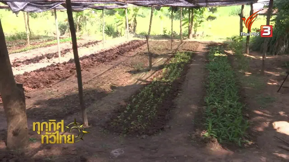 จุฑามาศ พาตะลุย : ร่วมมือกันฟื้นฟูพื้นที่รกร้าง