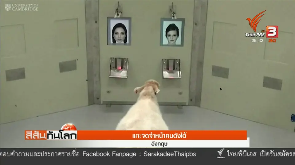 แกะจำหน้าคนดังได้