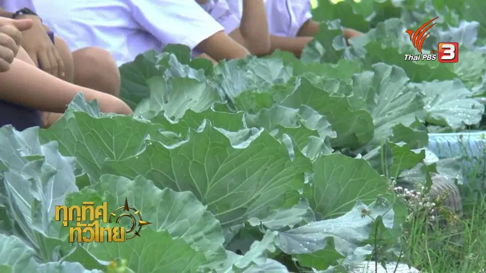 นักเรียน ร.ร.อนุบาลภูกามยาวปลูกผักไร้สารพิษ
