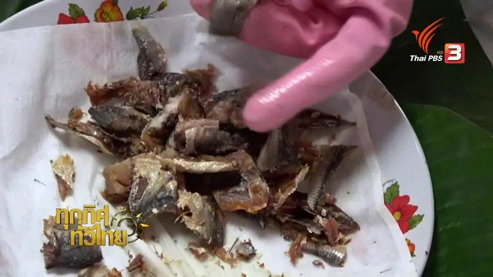 แปรรูปปลาทูเป็นปลาอบ ของอร่อย จ.สตูล