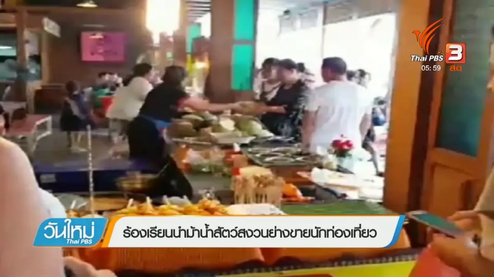 ร้องเรียนนำม้าน้ำสัตว์สงวนย่างขายนักท่องเที่ยว