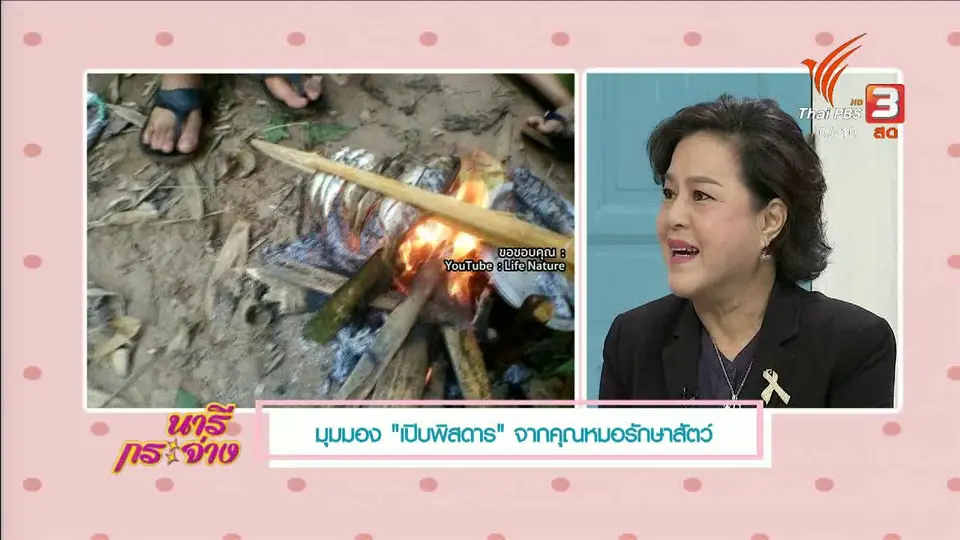 นารีสนทนา : มุมมอง "เปิบพิสดาร" จากคุณหมอรักษาสัตว์