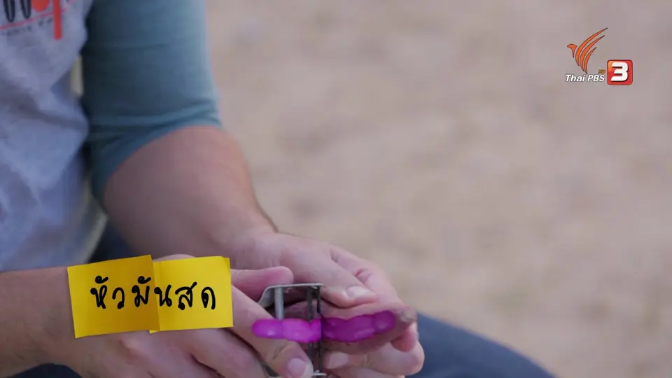 เมนูฟิวชัน: ขนมมันม่วง
