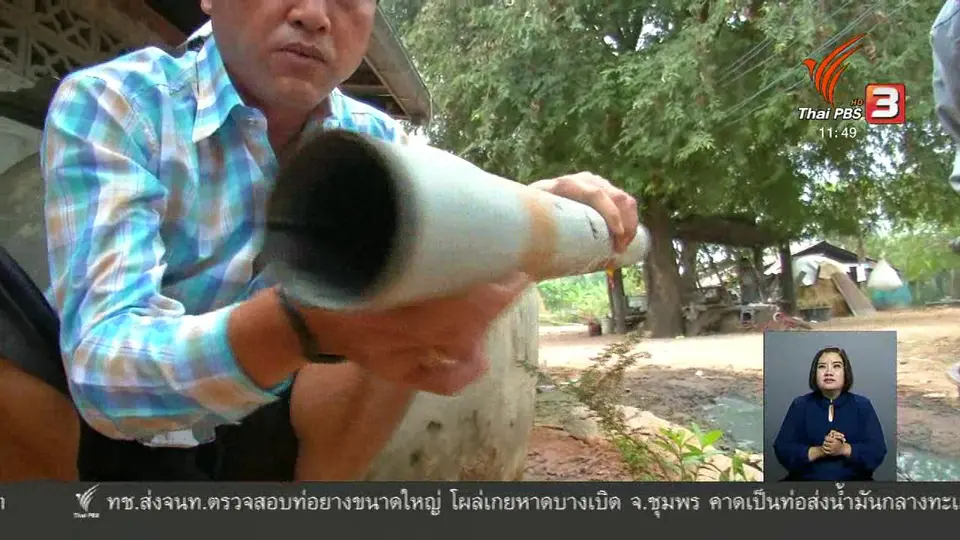 ตะลุยทั่วไทย : ผัดเผ็ดคางคก