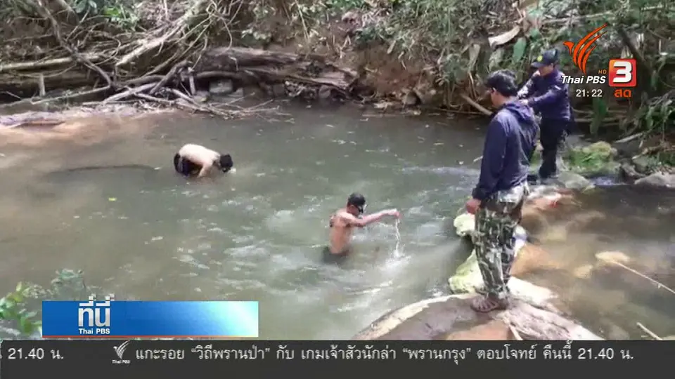 หลักฐานคดีล่าสัตว์ ป่าทุ่งใหญ่ฯ