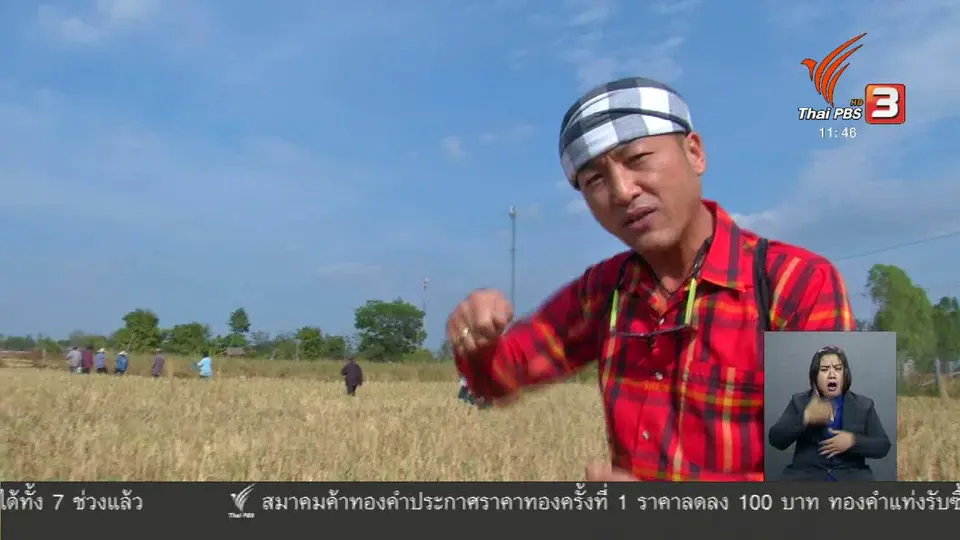 ตะลุยทั่วไทย : หนูนา