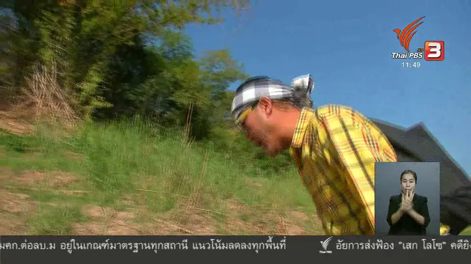ตะลุยทั่วไทย : เขียดอุ