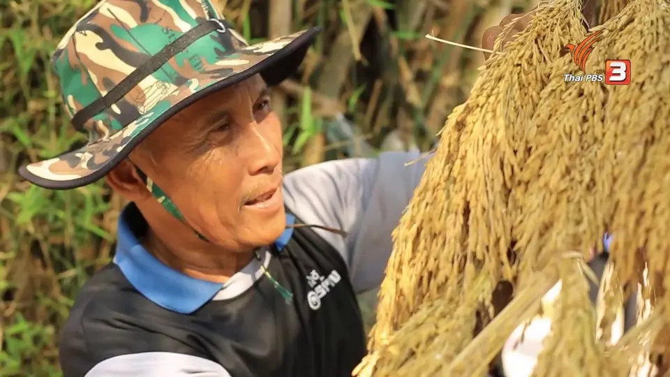 เที่ยวทั่วไทย : งานบุญคูนลานสู่ขวัญข้าว จ.กาฬสินธุ์