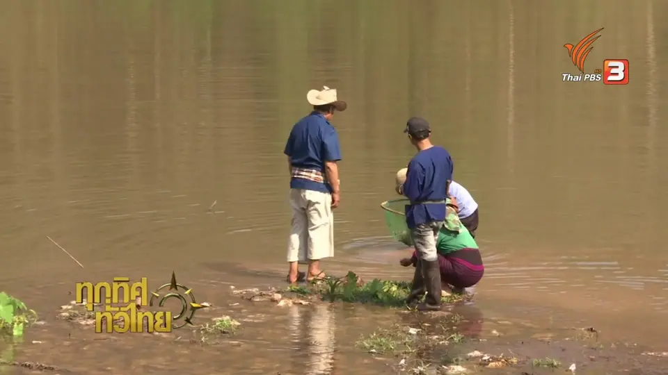 วิถีทั่วไทย : งมหอยที่อ่างเก็บน้ำห้วยกลาง
