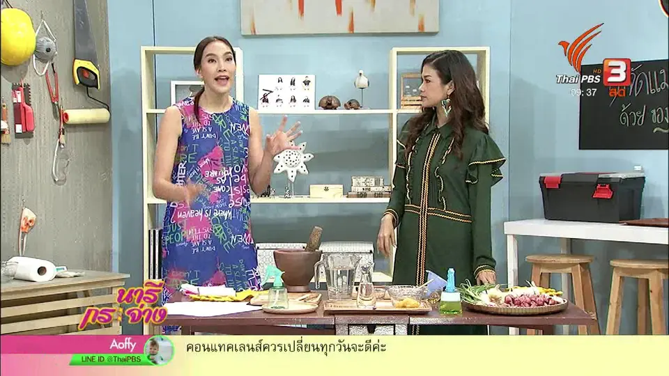 นารีสนทนา : กำจัดแมลงวันง่าย ๆ ด้วยของใช้ในบ้าน