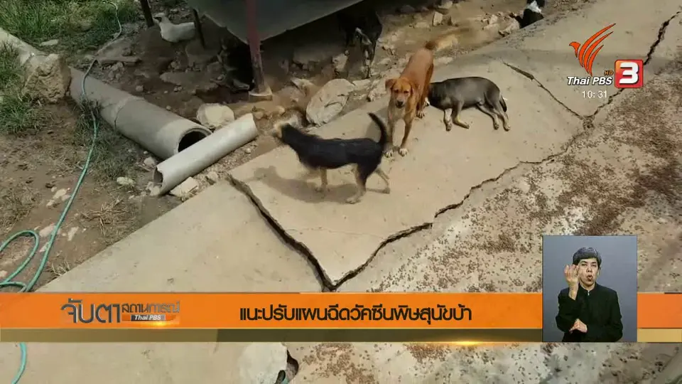 แนะปรับแผนฉีดวัคซีนพิษสุนัขบ้า