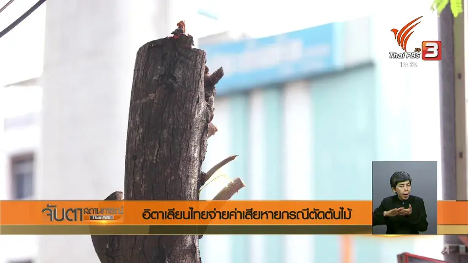 อิตาเลียนไทยจ่ายค่าเสียหายกรณีตัดต้นไม้